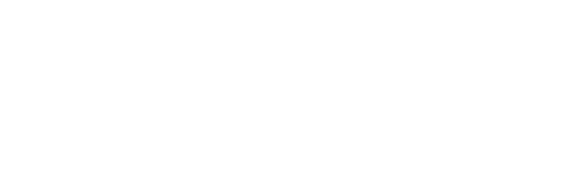 TruIndee Logo